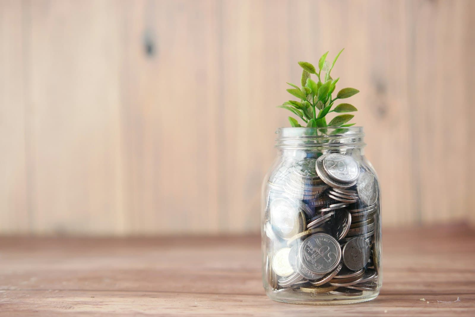 A glass jar of coins with a small plant